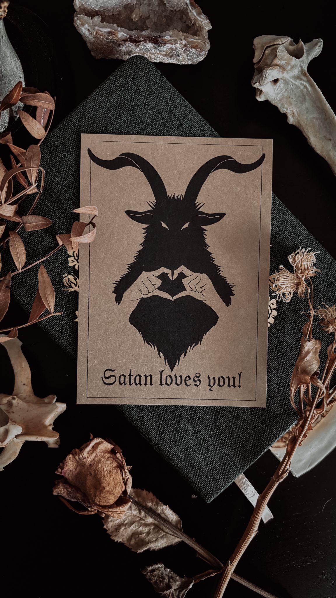 Fan-Pack von Jenny (4 Postkarten, 2 Lesezeichen BUNDLE) – Bild 3