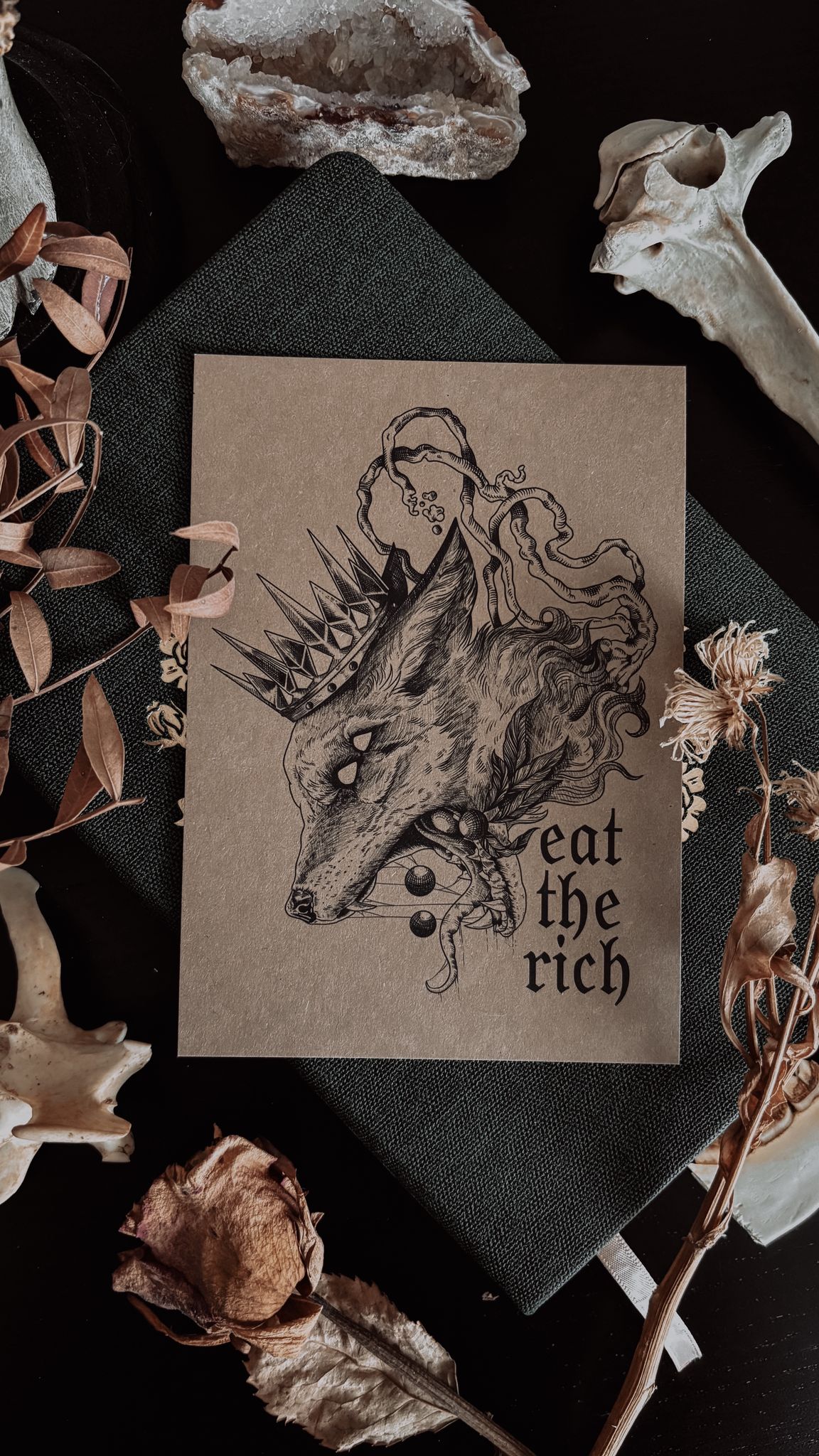 Fan-Pack von Jenny (4 Postkarten, 2 Lesezeichen BUNDLE) – Bild 4