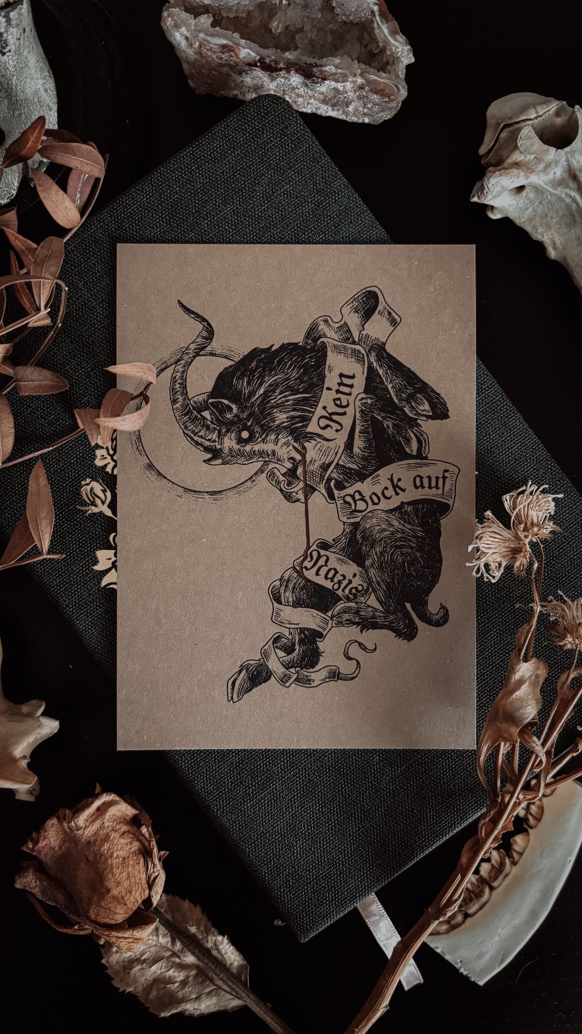 Fan-Pack von Jenny (4 Postkarten, 2 Lesezeichen BUNDLE) – Bild 5