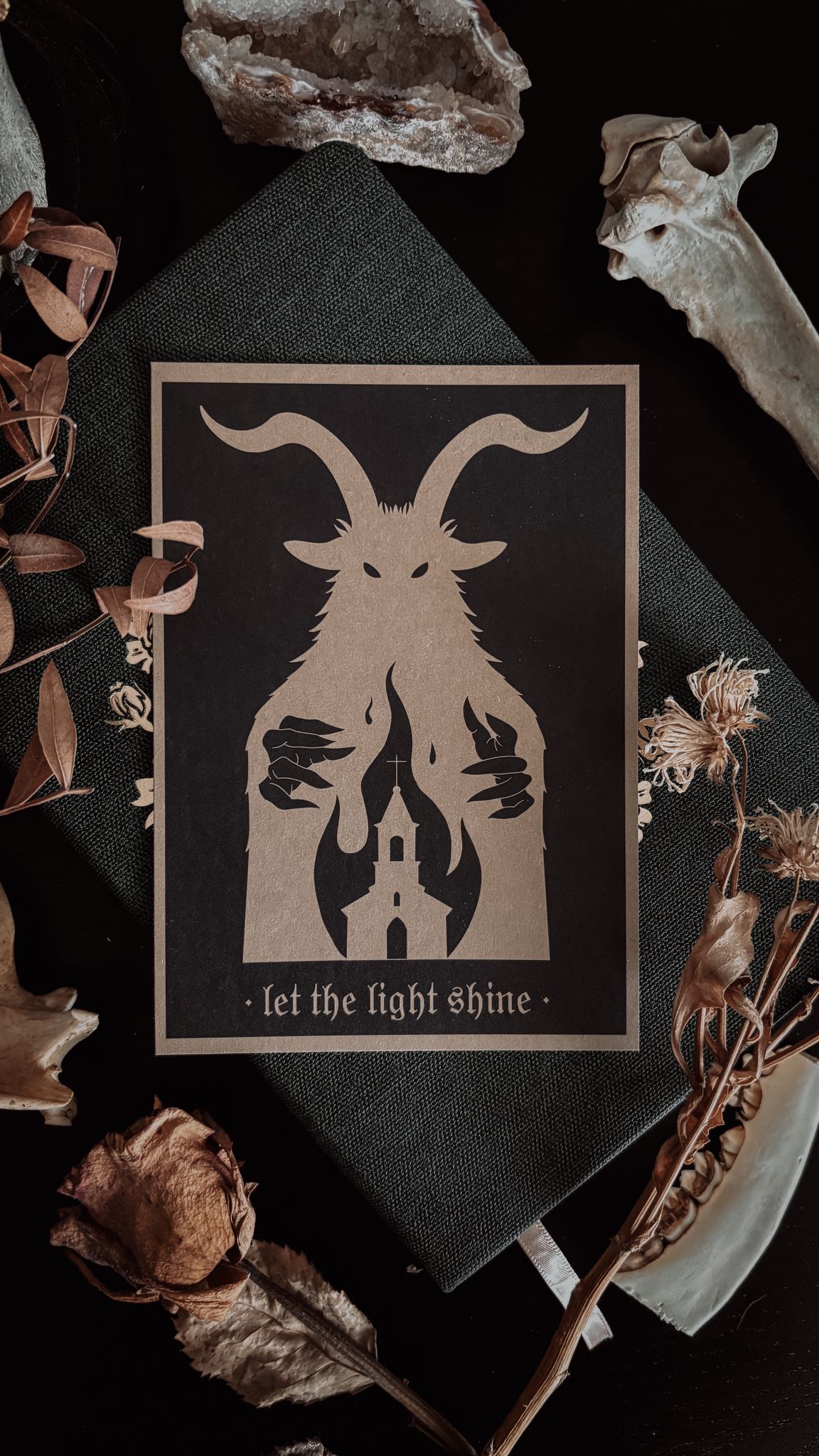 Fan-Pack von Jenny (4 Postkarten, 2 Lesezeichen BUNDLE) – Bild 6